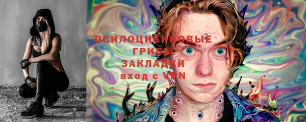 мет Касимов