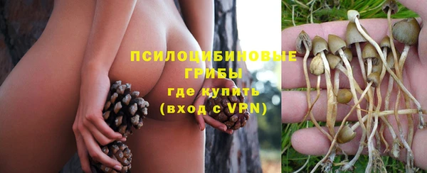 бошки Киреевск